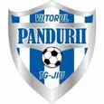 ACS Viitorul Pandurii Targu Jiu