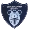 Bucovina Radauti