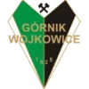 Gornik Wojkowice