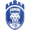 Cankiri Blediye Spor